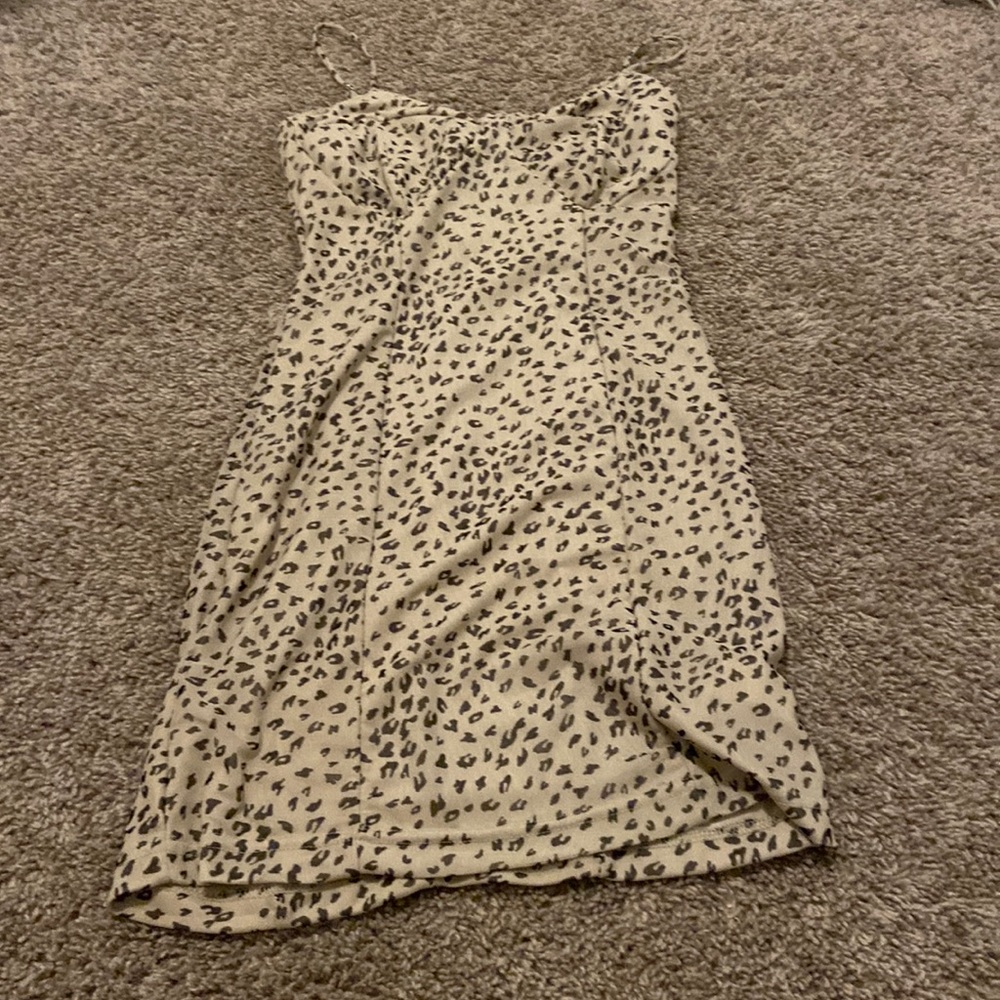 leopard dress, worn once